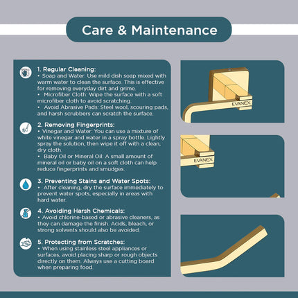 Evanex Stainless Steel Gold Toilet Paper Holder for Bathroom